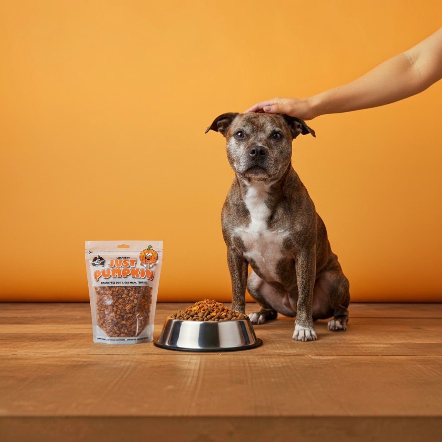 Just Pumpkin Meal Topper for Dogs & Cats